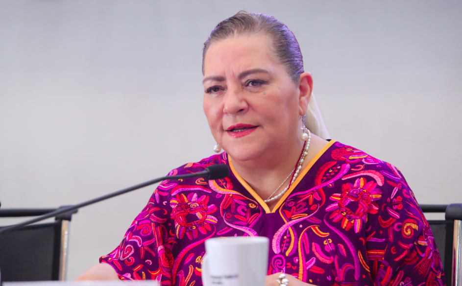Guadalupe Taddei Asegura Unidad en el INE Pese a Discrepancias