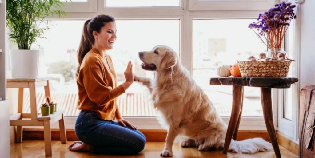 ⁠¿Los perros pueden sentir el estrés de su dueño? Estudios lo confirman