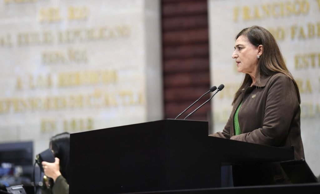 Reforma electoral debe frenar dinero del crimen en campañas: Paty Jiménez (PAN)