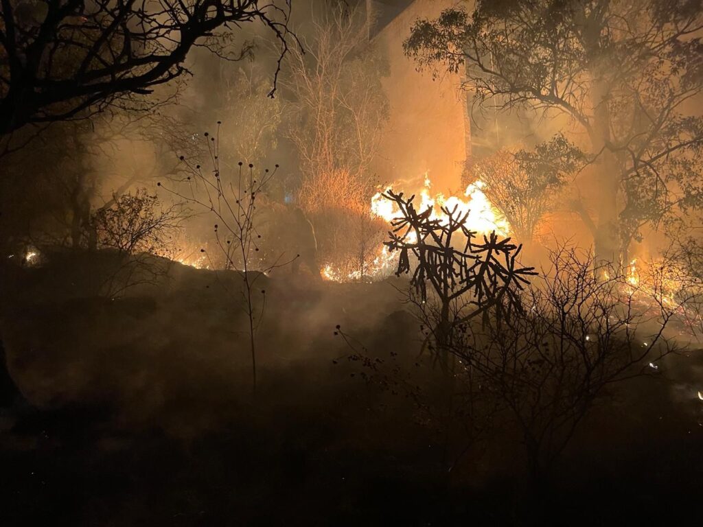 Vientos y zacatal seco ponen a Durango en riesgo: alertan por incendios que se expanden en minutos