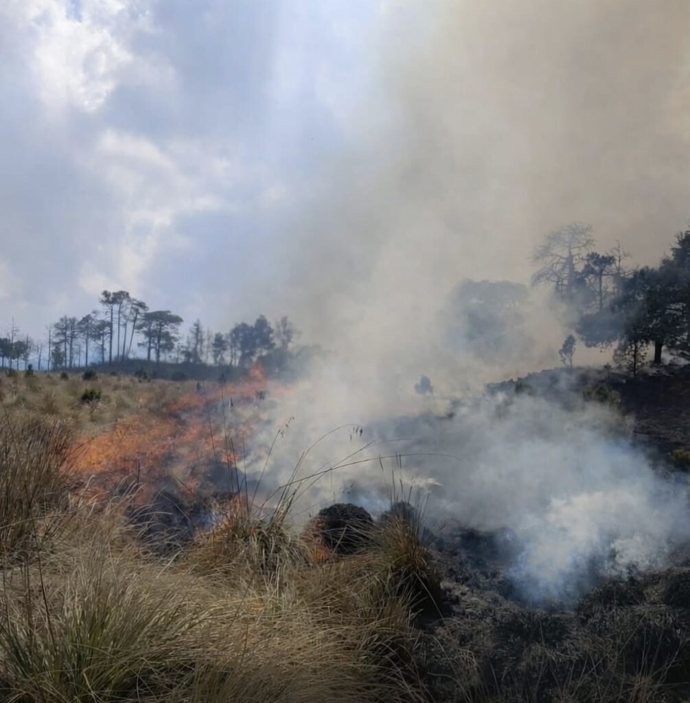 Prevén año más caluroso en Durango; 22 incendios forestales ya afectan 1,200 hectáreas