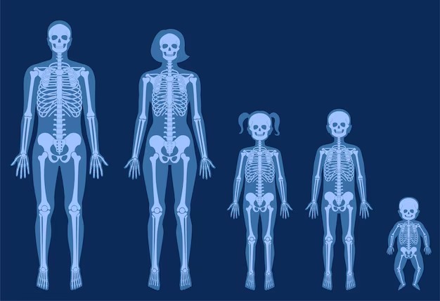 ¿Hasta qué edad crecen nuestros huesos? Descubre cuándo termina nuestro estirón