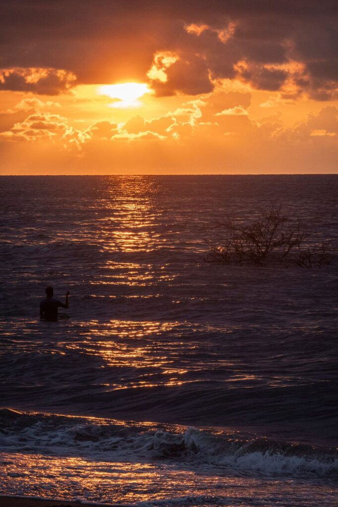 The New York Times nombró a Riviera Nayarit como el destino de México.