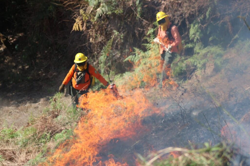 COFONAY continúa realizando labores de prevención en la Sierra de San Juan
