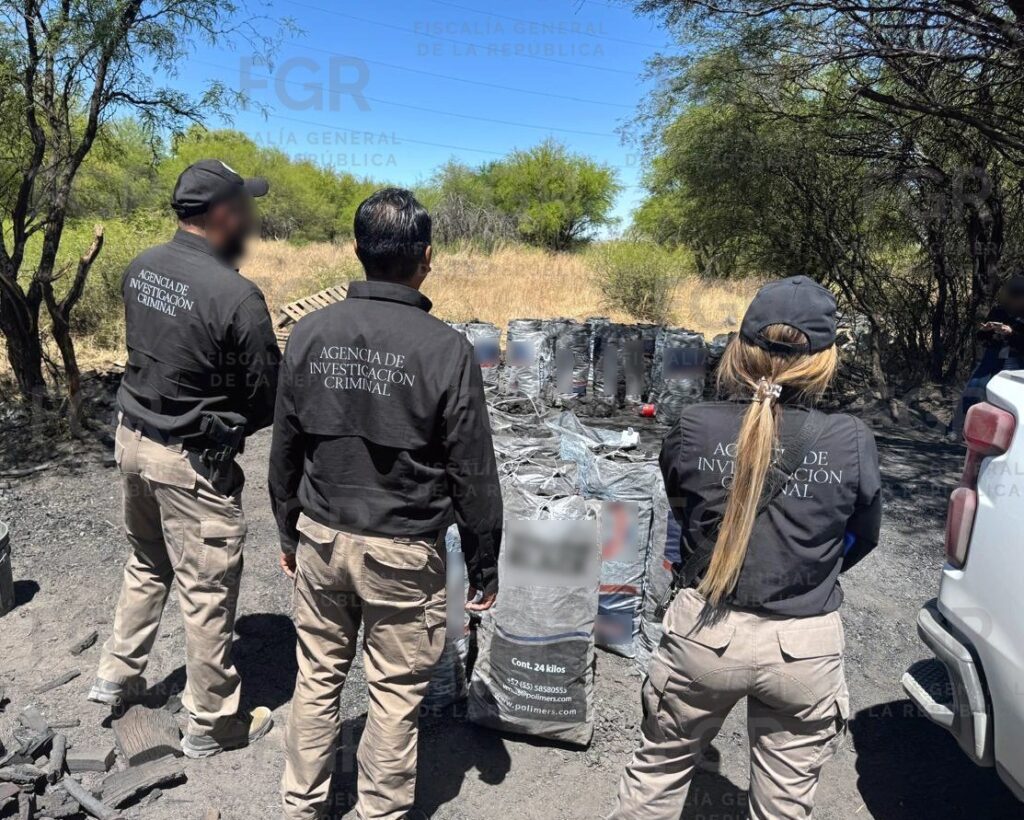 FGR ejecuta cateo para asegurar leña y carbón