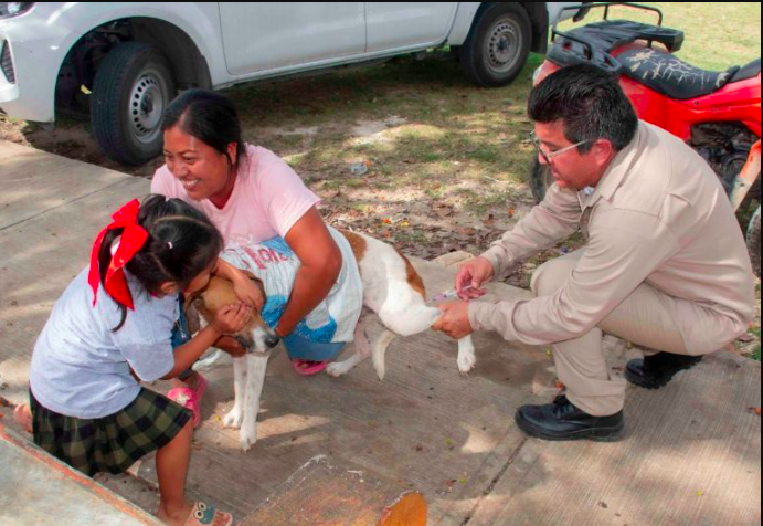 Niña tapa los ojos a su perrito al recibir la vacuna contra la rabia
