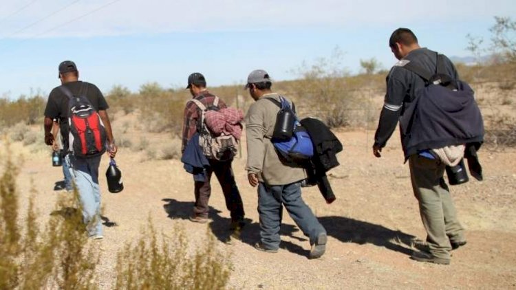 Trump deporta menos mexicanos que Biden pese a política más dura, revela informe