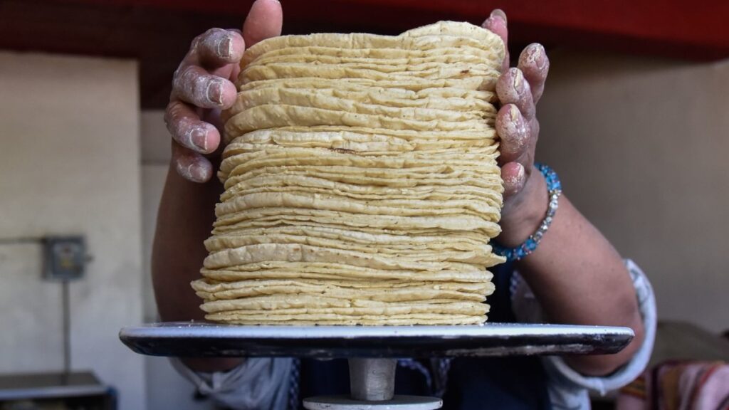 ¿Multas por vender tortillas en hielera? Profeco responde