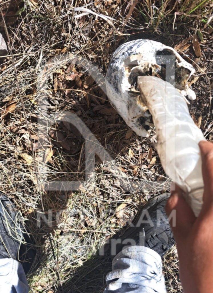 Localizan bolsas con restos humanos cerca de Puerto Justo, se habla de una narcofosa