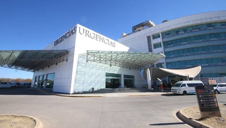 Cayó de la rama de un pino y resultó lesionado