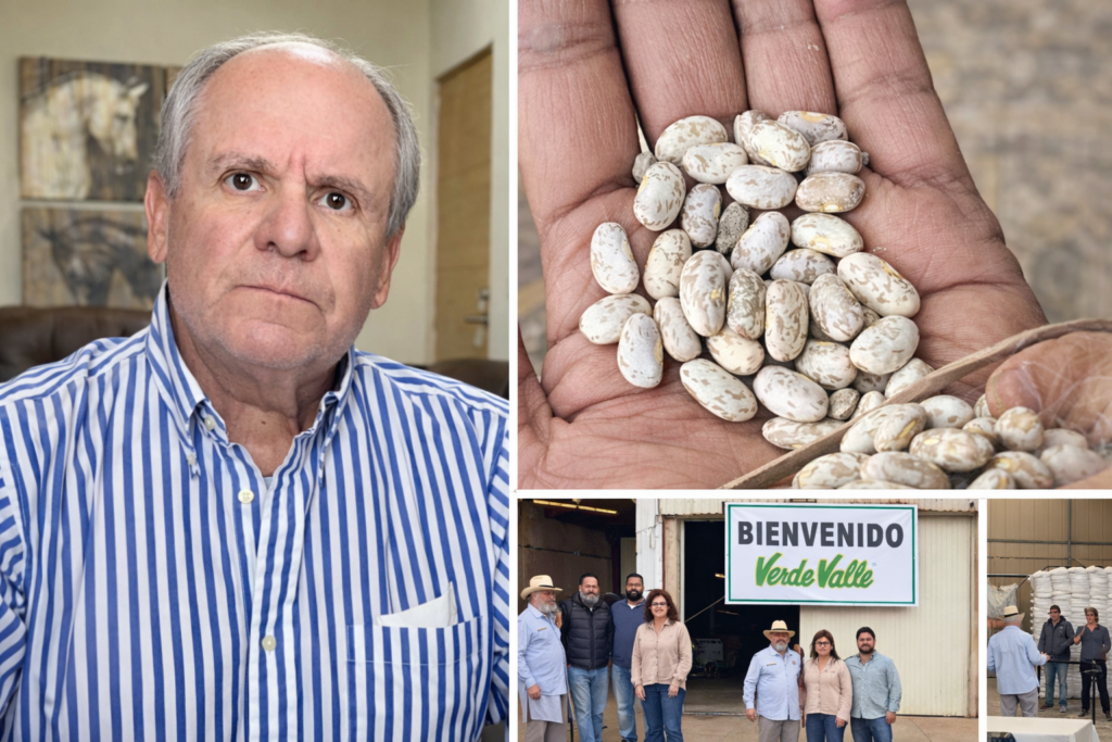 Compra de frijol de campo a 13 pesos da respiro a productores de Durango