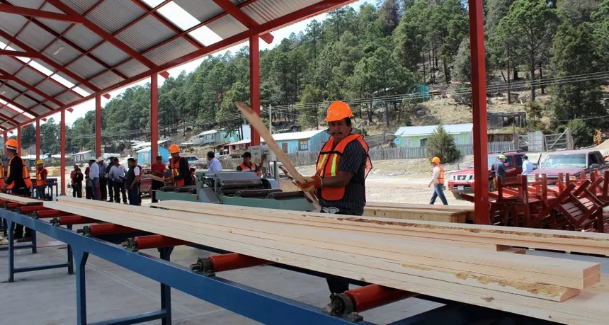 Importación de madera pone en riesgo empleos en la región forestal de Durango: Héctor Herrera