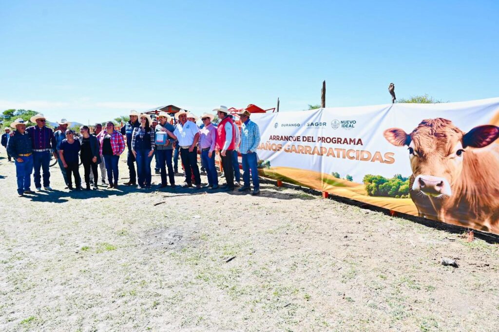Inician programa de baños garrapaticidas para proteger el ganado en Nuevo Ideal