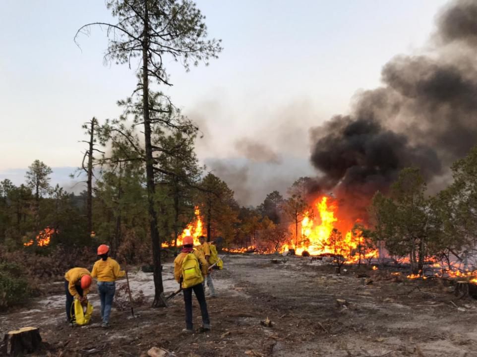 Registran 6 incendios forestales en Chihuahua, atienden 50 combatientes