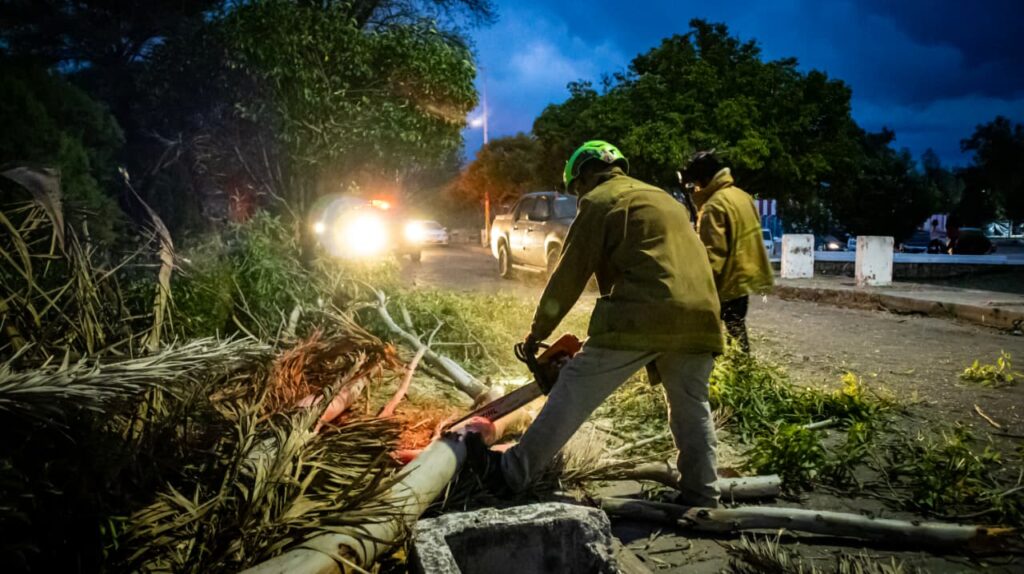 ¡Un cáos! Fuertes vientos provocan caída de árboles, incendios y apagones en Santiago