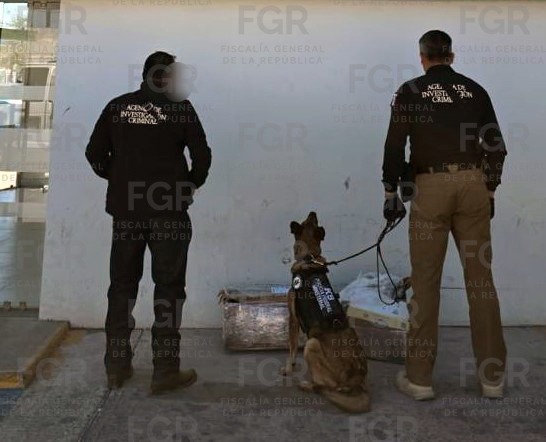 Federales aseguran en Durango 10 kilos de metanfetamina
