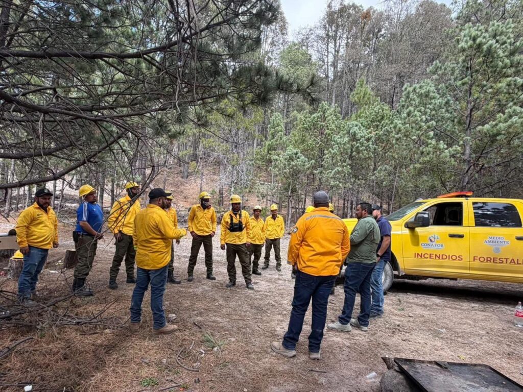 Refuerzan brigadas forestales en Otáez para enfrentar temporada de incendios