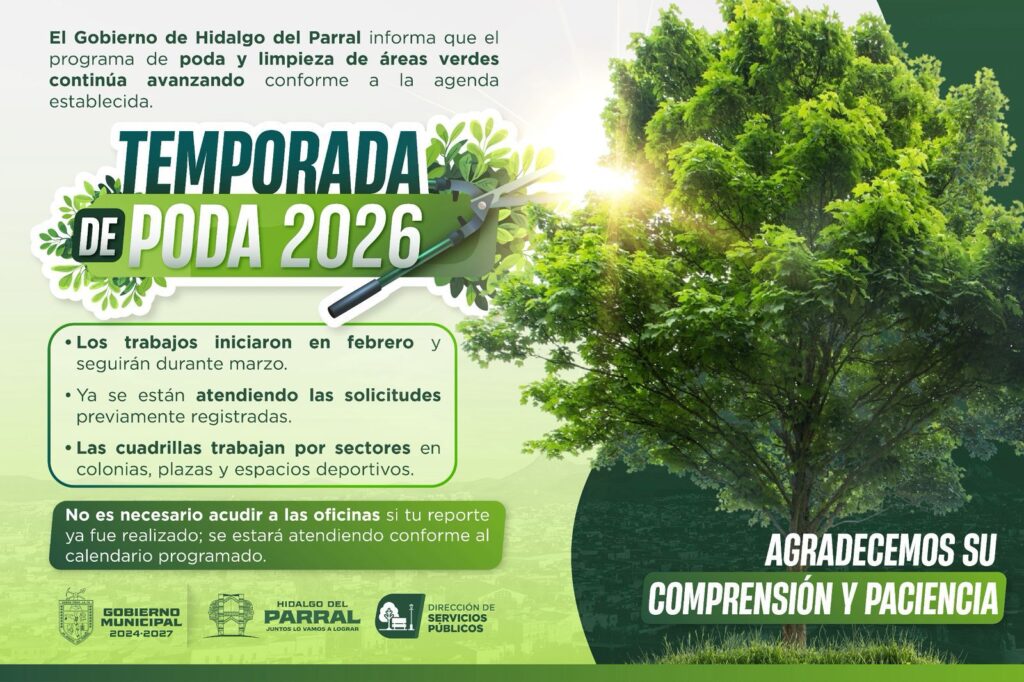 Avanza con éxito el programa de poda y limpieza de áreas verdes en Parral