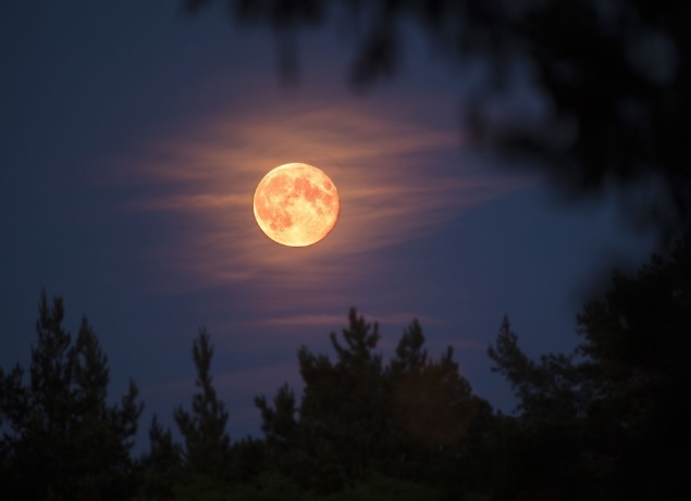 Luna Rosa en México: ¿cuándo y a qué hora podrás verla?