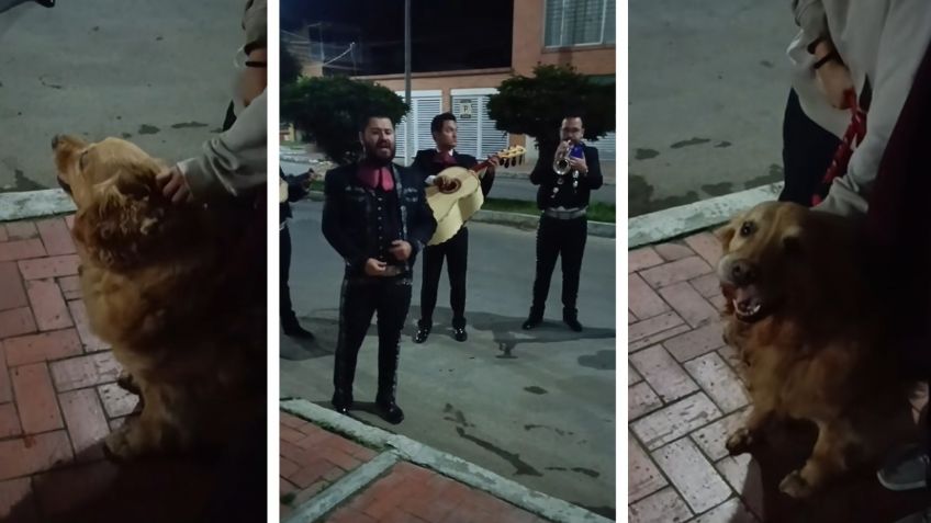 VIDEO: Familia despide a su perrita con mariachi y ‘Amor Eterno’