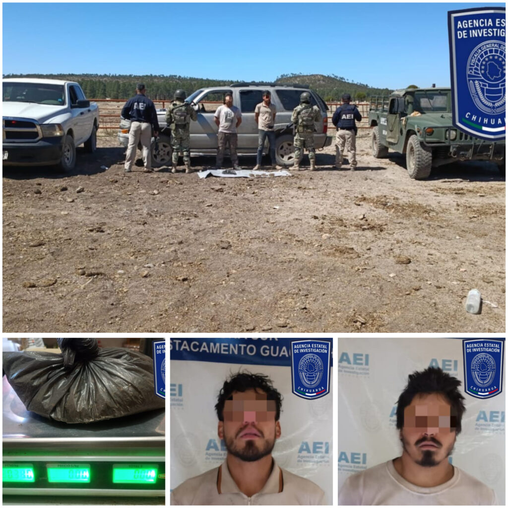 Aseguran cartuchos y droga tras operativo en Guachochi, Chihuahua