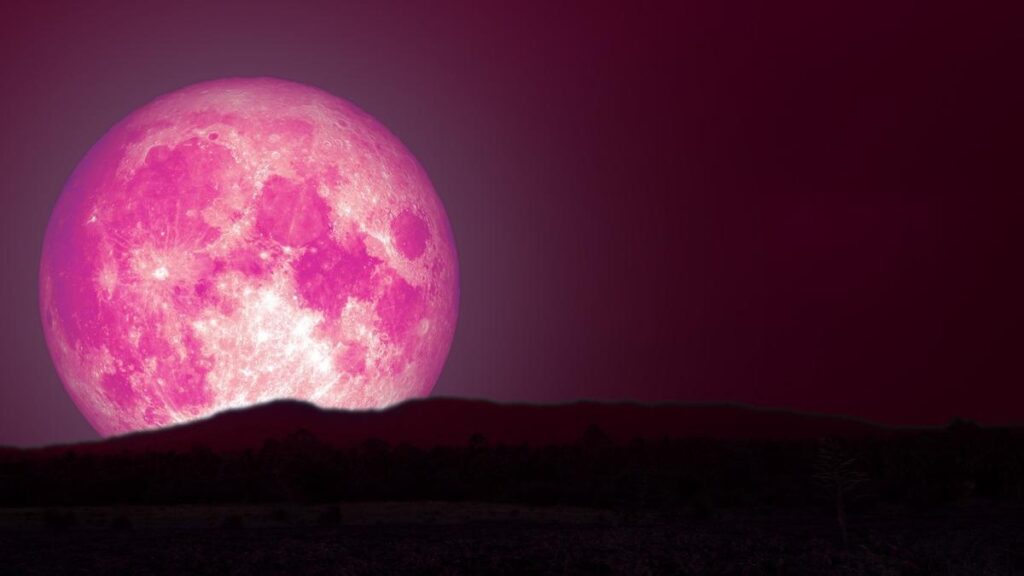 Luna Rosa 2026: Ciencia, mitos y su verdadero impacto en la Tierra
