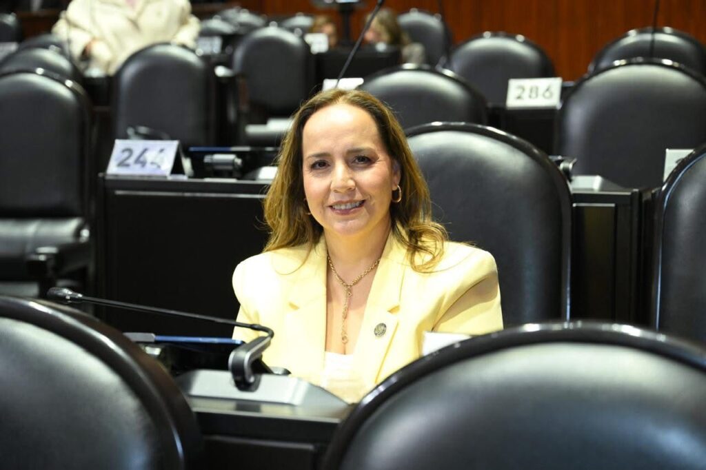 PAN va por castigar el secuestro digital infantil con hasta 25 años de cárcel
