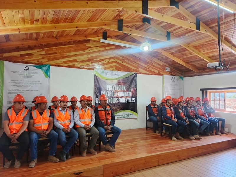 Arrancan acciones contra incendios forestales