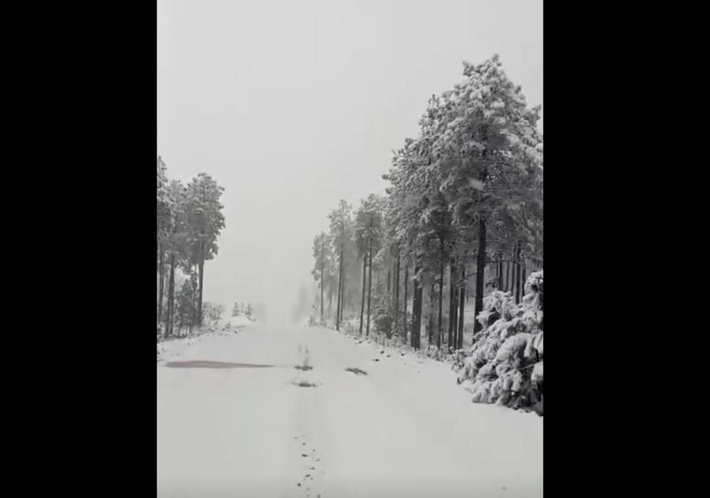 Sorprende nevada en Madera, Chihuahua