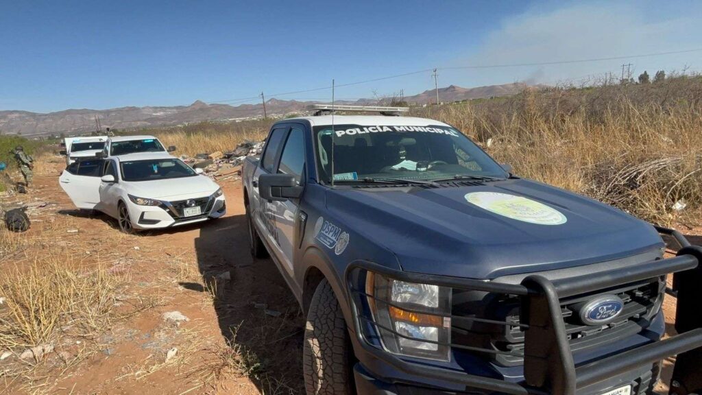 Hallan cuerpo semidesnudo y carcomido al norte de Chihuahua