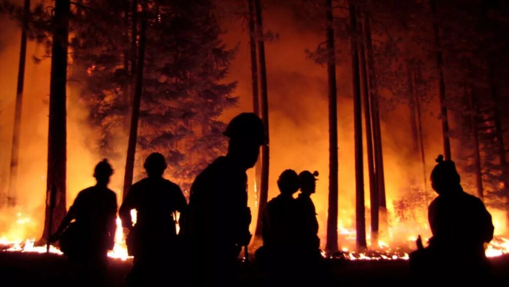 México registra 26 incendios forestales activos; autoridades mantienen alerta