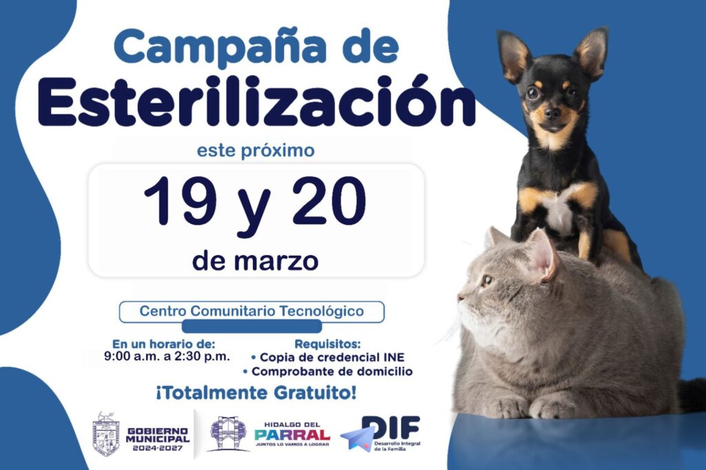 Gobierno de Parral lanza campaña gratuita de esterilización