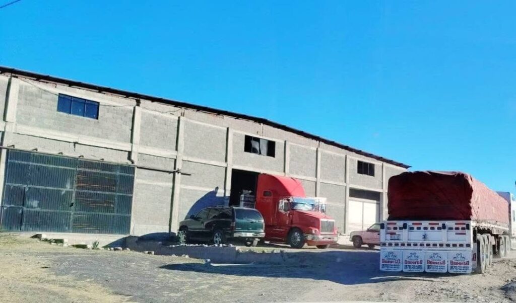 Segalmex: remate de frijol a 8 pesos fue un error, advierten especialistas