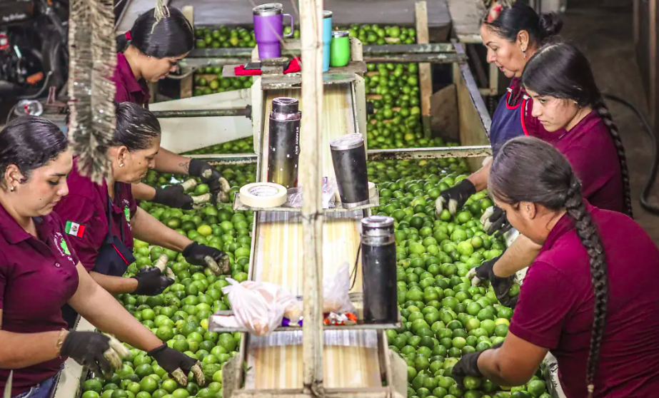 Reforma de jornada laboral de las 40 horas se publica en el DOF