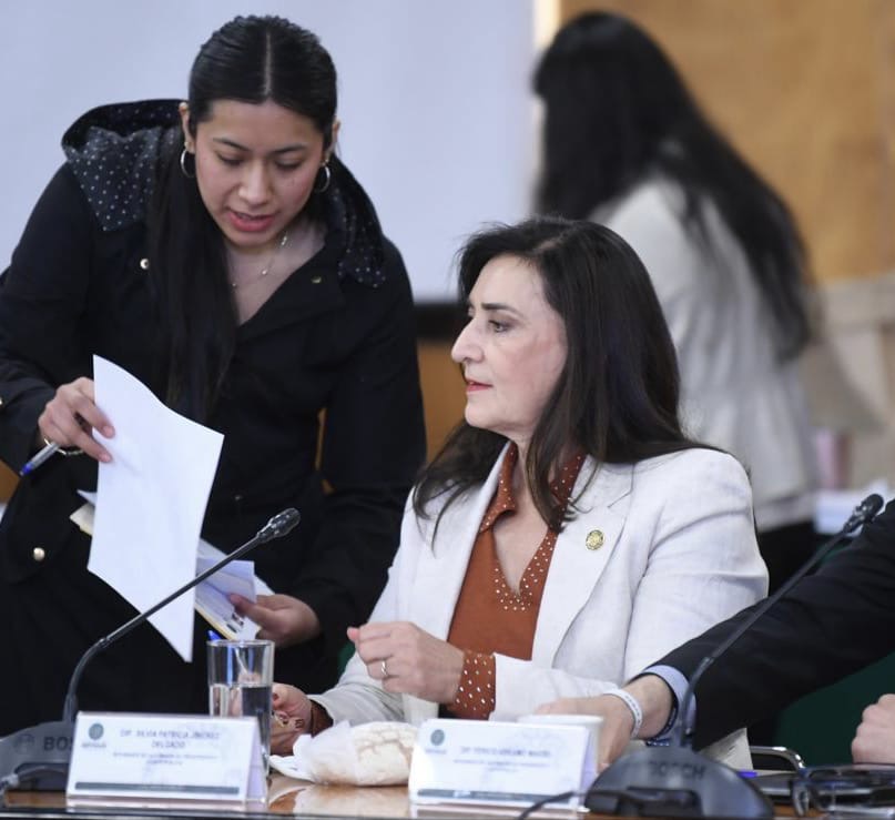 Plan B recorta al árbitro electoral y deja intacto al crimen: Paty Jiménez