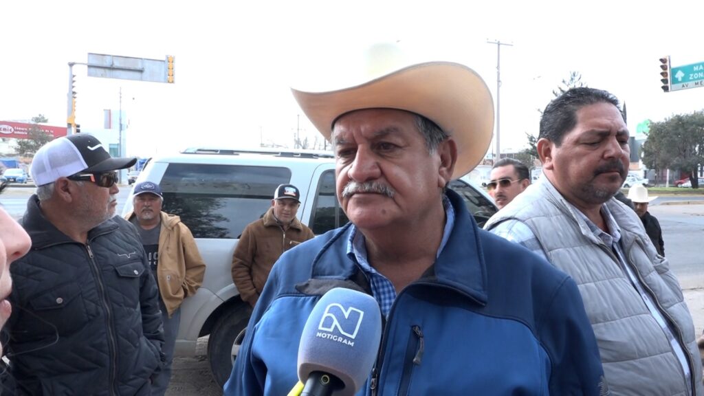 Productores denuncian que el acopio de frijol Poanas solo ha recibido el 18% de la cosecha