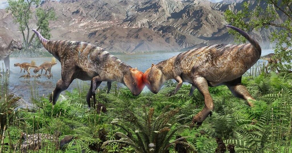 Localizan fósil de bebé dinosaurio y cambia todo lo que sabíamos sobre los Cabeza Abovedada