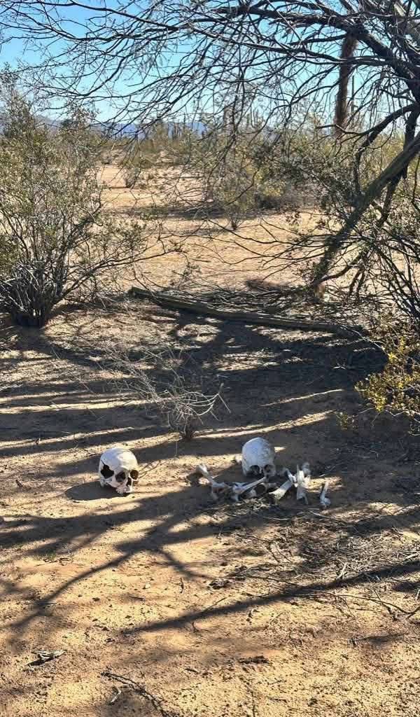 Fosas en Sonoyta podrían corresponder a personas de Chihuahua; no descartan víctimas de Temósachic