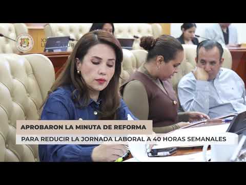 Video resumen legislativo