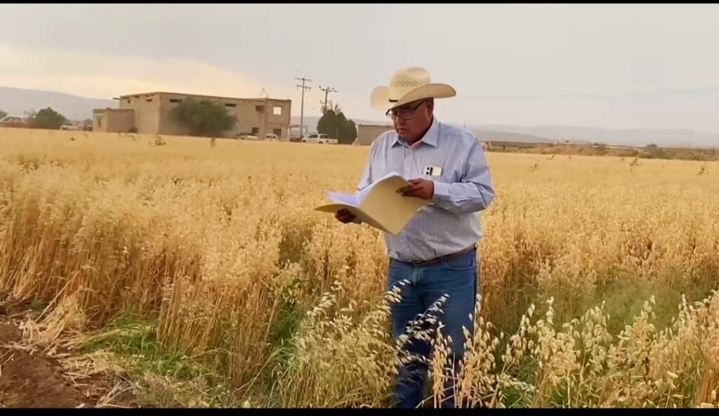 México producirá más alimentos en 2026, pero caerá el valor del campo: GCMA