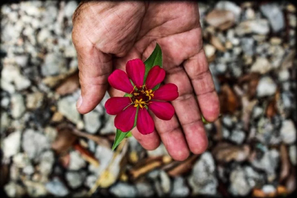 Exposición maya rompe estereotipos y muestra la vida indígena actual en Europa
