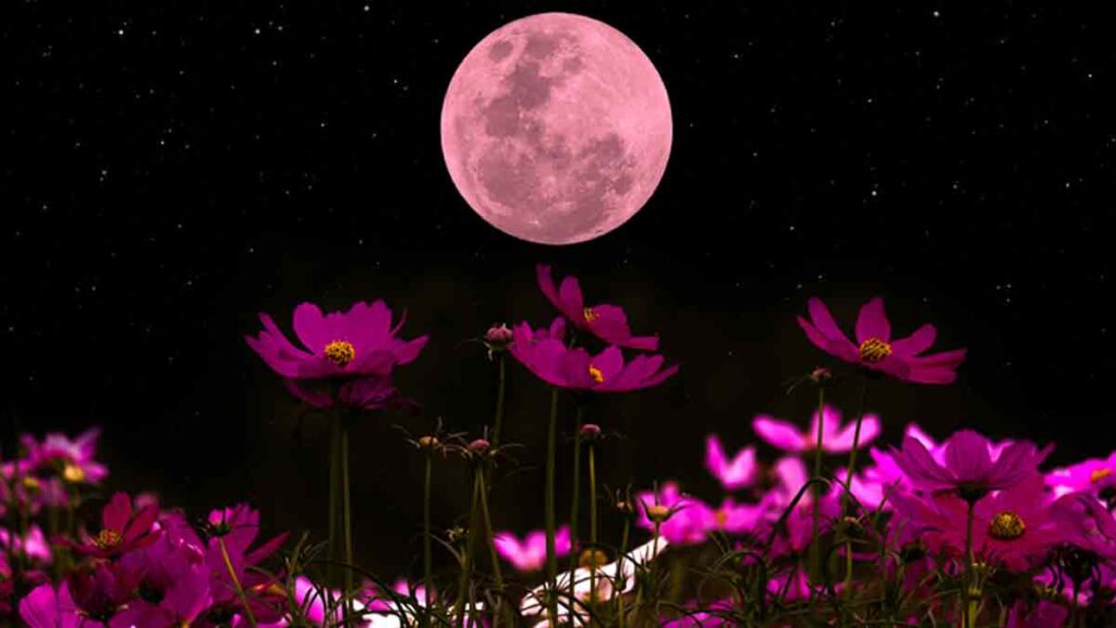La Luna Rosa iluminará el cielo en abril: cuándo y cómo verla