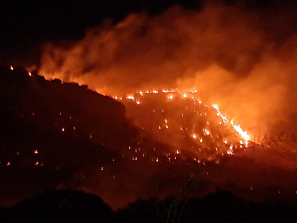 Voraz incendio forestal en el municipio de Durango es atendido durante varias horas