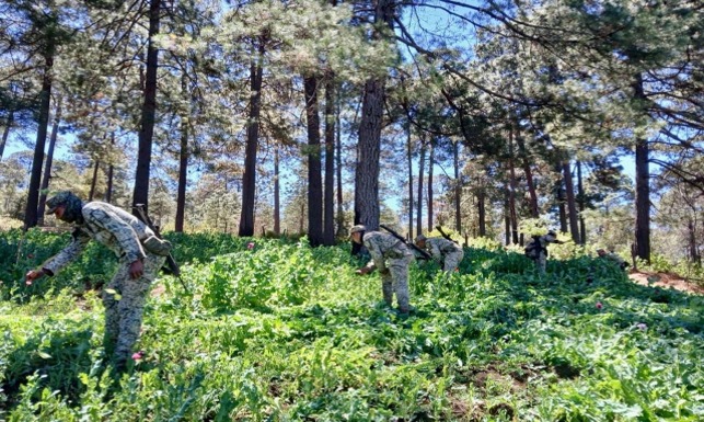 Gobierno de Nayarit encabeza coordinación de seguridad y reporta resultados de operativos