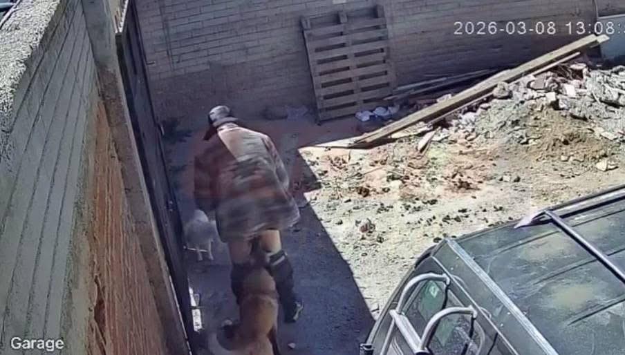 Lo captan violando a su perrito, indignacion