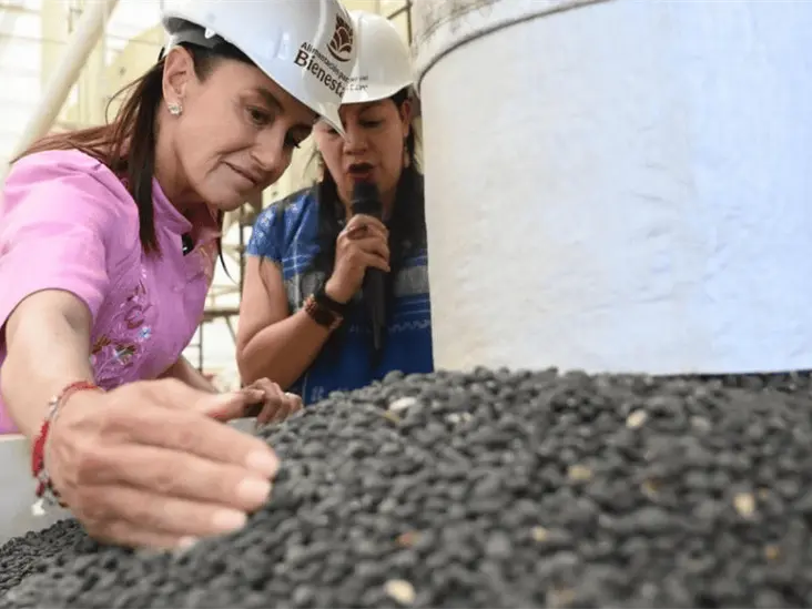 Sheinbaum modifica Plan Frijol para apoyar a más productores