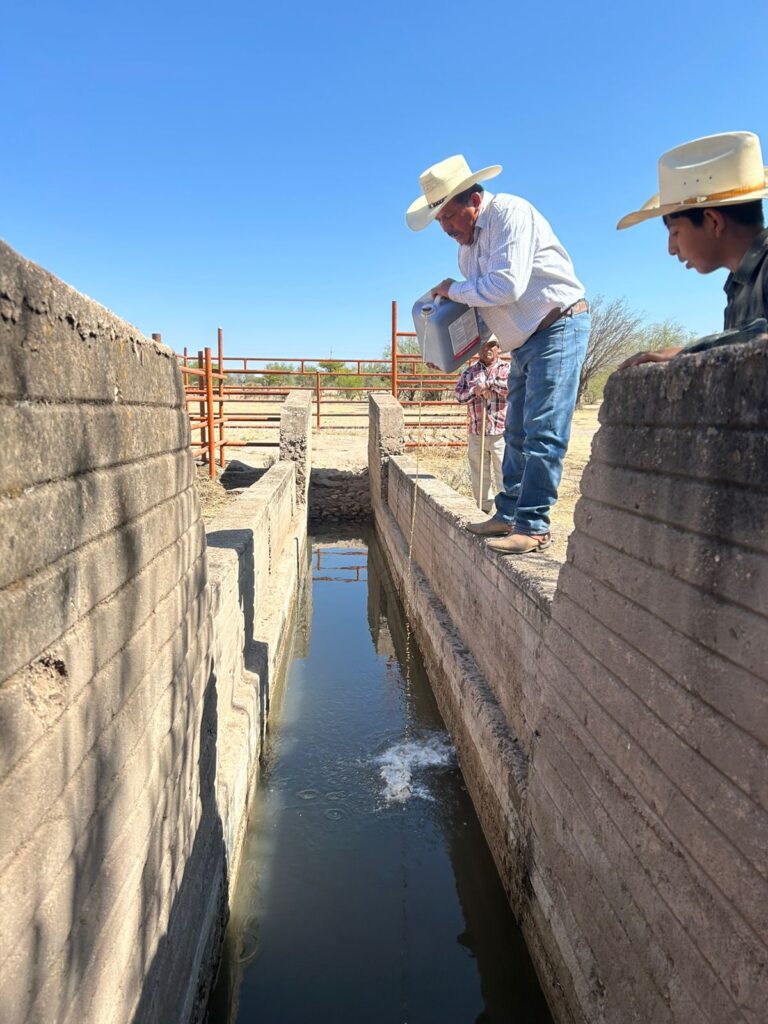 Inician aplicación de baños garrapaticidas para el ganado en Guadalupe Victoria