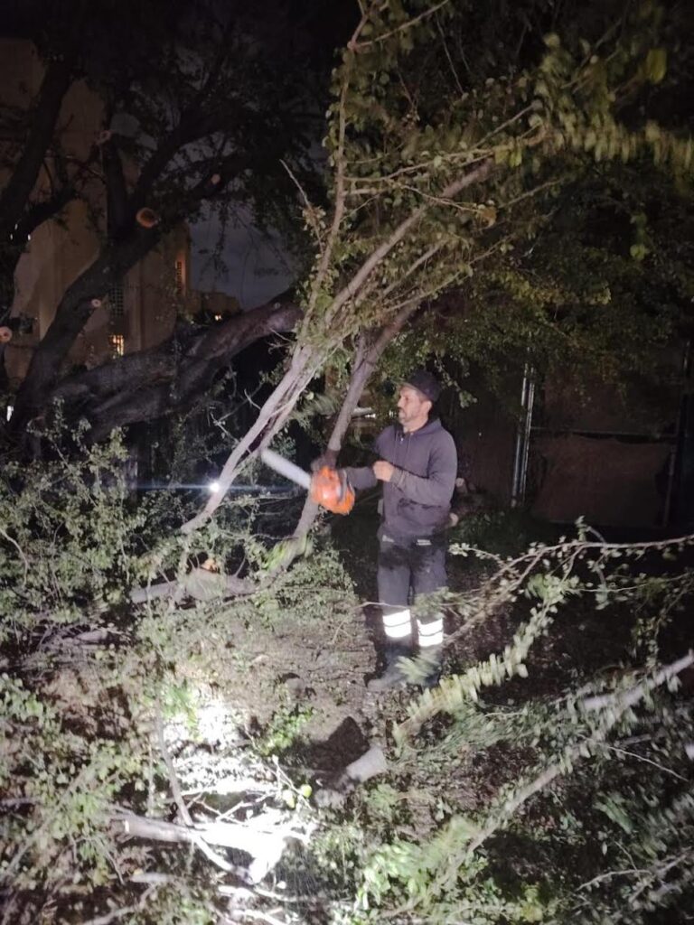 Tlaquepaque intensifica retiro de árboles en riesgo ante el temporal de lluvias 2026