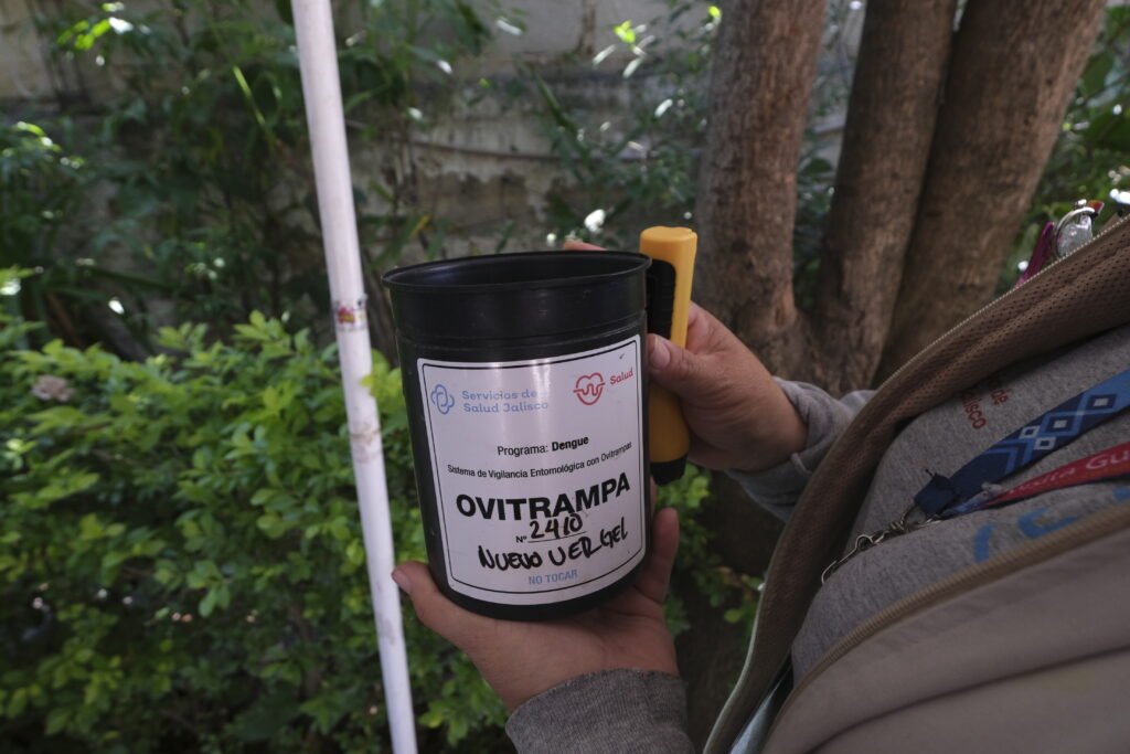Refuerza Jalisco monitoreo contra dengue con red estatal de ovitrampas