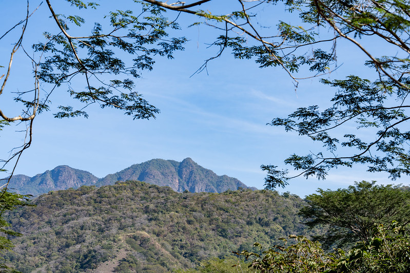 Arrancan foros de consulta para proteger la Sierra de Cacoma en Jalisco